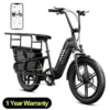 TST K004 1500W Cargo E-Bike, 20