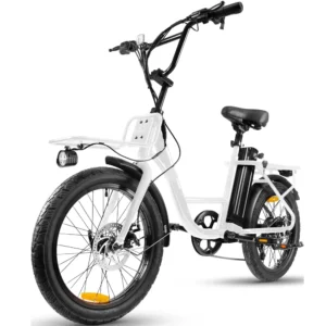 1000W Electric Bicycle for Adults,Cargo Step Through Ebike,48V 15.6Ah Battery,20" Fat Tire with Rear Rack,Hydraulic Disc Brake