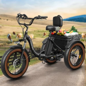 PUCKIPUPPY Electric Tricycle for Adults 20" Fat Tire 3 Wheel Electric Trike with 960W Rear Motor Cargo Tricycle Ebike